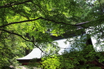 緑陰の北口本宮富士浅間神社「諏訪拝殿と諏訪神社」