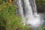 初夏の「音止の滝」の「新緑と滝壺」