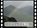屋久島の森と虹