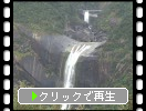 屋久島・千尋の滝「雨と虹」