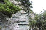 緑色片岩の崖