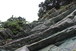 佐田岬の「緑色片岩の断崖」