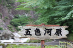 夏の面河渓「五色河原の標識」