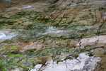 面河渓「五色河原の緑の模様」