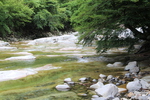 夏の面河渓「流れが穏やかな河原」
