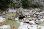 夏の面河渓「大小の岩と流木」