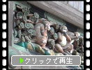 春の日光東照宮「三猿と猿の一生」像