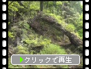 春の榛名神社「天然岩の鞍掛岩」