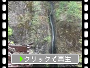 春の榛名神社「瓶子の滝」