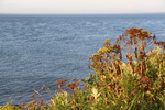 納沙布岬とオホーツク海