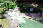 夏の川湯温泉「足湯」