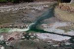 夏の川湯温泉「緑色の細流」