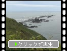 夏緑の襟裳岬