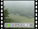 霧が晴れてゆく夏の釧路湿原
