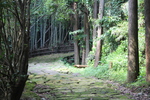 ೹ƻΡζʺ