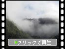 夏の天人峡「峡谷の霧雲」