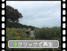夏の能古島「ひまわり畑と人々」