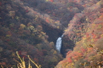秋の紅葉に包まれた「不動滝」