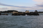 松島遊覧「多彩な島々」