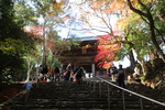 秋の神護寺「楼門への石段」