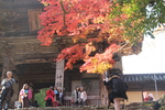 神護寺「楼門と楓の紅葉」