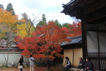 神護寺「楼門と秋模様」
