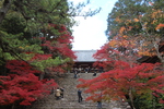 秋の神護寺「参道石段と金堂」