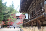 秋の京都・神護寺「毘沙門堂と金堂(中央奥）」