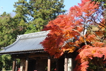 紅葉と根香寺の仁王門