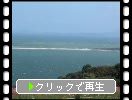 秋の能古島「島のコスモス畑から見た沖合の海ノ中道と志賀島」