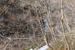 冬の森越しの秋保大滝