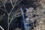 落葉の冬木立と滝