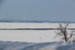 積雪期のサロマ湖と水鳥たち