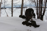 美瑛「三愛の丘」の雪景色と岩