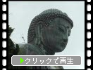 夏の鎌倉・高徳院「雨の鎌倉大仏」