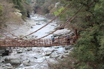 新緑期の「祖谷のかずら橋」と渓流