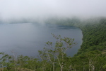 夏の「摩周湖と霧」