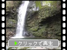 春の西祖谷「琵琶の滝」