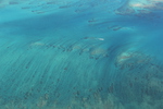 飛行機から見た沖縄のサンゴ礁群とエメラルドグリーンの海