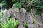 風雨で侵食された琉球石灰岩
