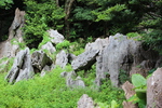 カルスト地形の琉球石灰岩群