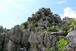 大石林山「岩の花果山」