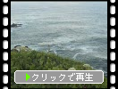 初夏の襟裳岬「断崖の花たち」