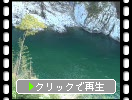 晩秋の阿波・小歩危峡「緑色の渓流と熟れた柿」