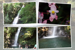 深緑期の西祖谷「琵琶の滝」