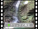 晩秋の西祖谷「琵琶の滝」