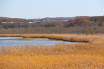 湿原の川岸と秋模様