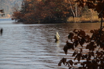秋の阿寒湖「さざ波と釣り人」