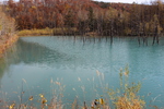 秋の美瑛「青い池」