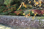 秋の備前・旧閑谷学校「石塀と秋模様」